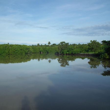 Вилла Coconut Island Тангалла Экстерьер фото