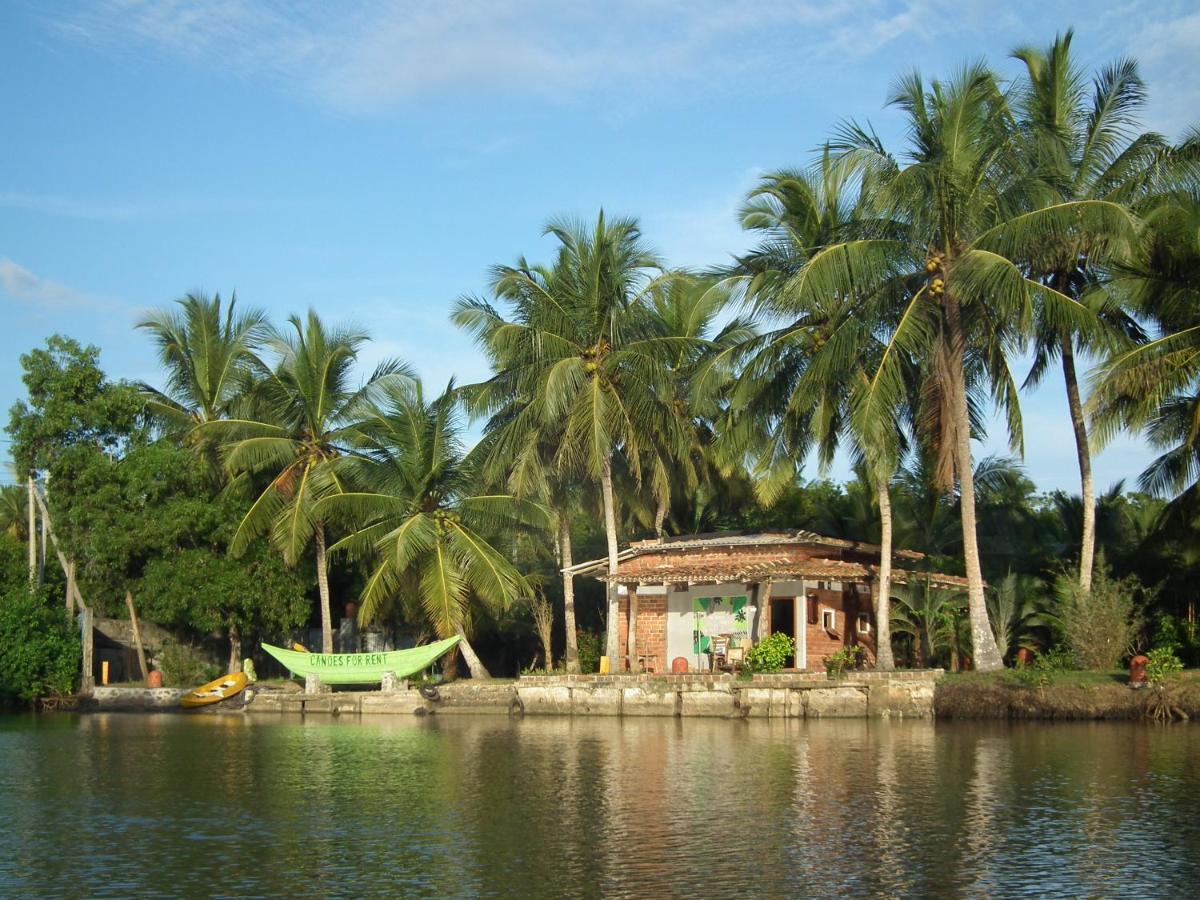 Вилла Coconut Island Тангалла Экстерьер фото