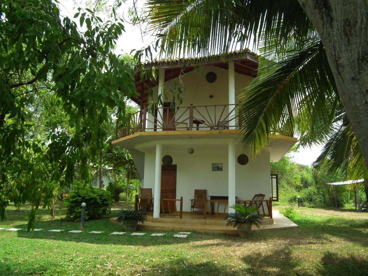 Вилла Coconut Island Тангалла Экстерьер фото