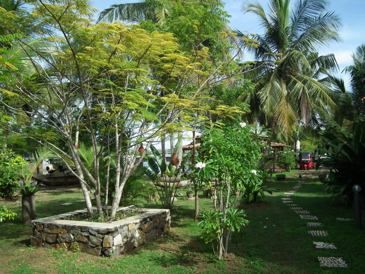 Вилла Coconut Island Тангалла Экстерьер фото