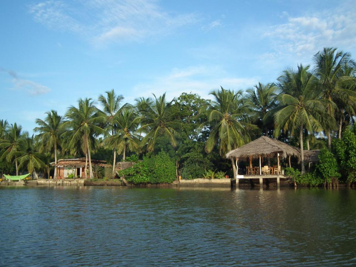 Вилла Coconut Island Тангалла Экстерьер фото