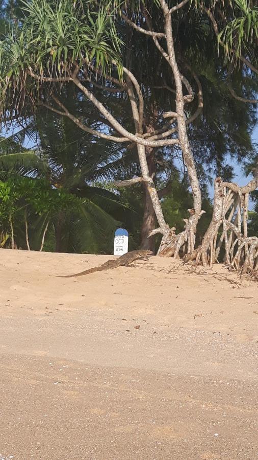 Вилла Coconut Island Тангалла Экстерьер фото
