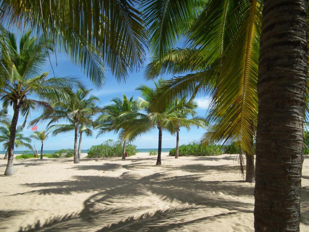 Вилла Coconut Island Тангалла Экстерьер фото